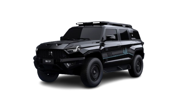 Dongfeng M-HERO 917